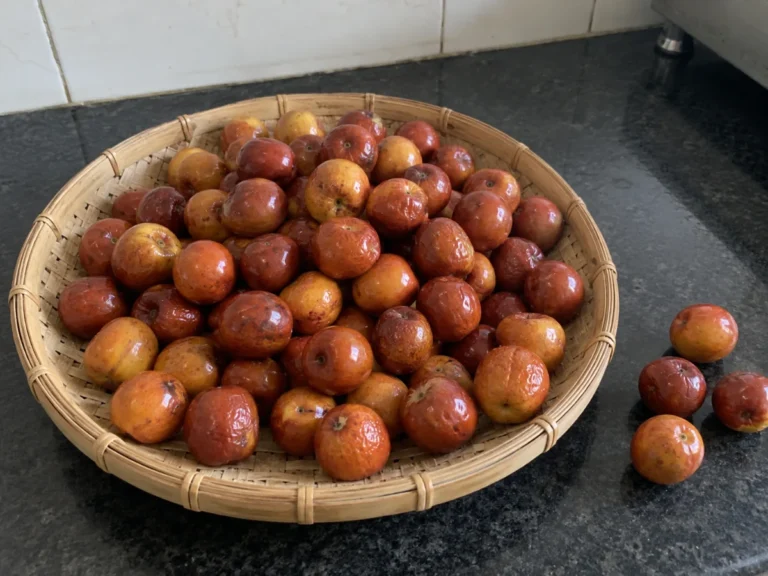 Whole kul (Indian jujube) bought in the short winter season, in a bamboo kula on a Kolkata kitchen counter